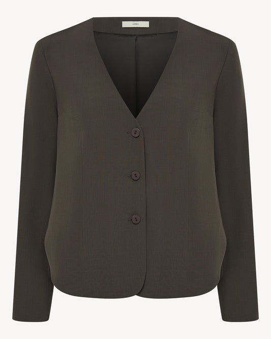 Cassie babulin blazer